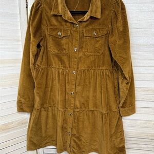 American Eagle Outfitters Tan Corduroy Dress